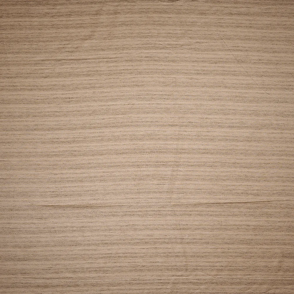 Tussar Viscose Plain